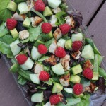 grilled chicken and raspberry spring salad