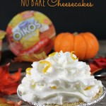 Mini Pumpkin Pie No Bake Cheesecakes