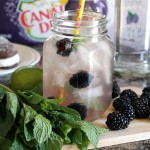 Blackberry Ginger Ale Cocktail