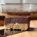 no bake chocolate sunbutter bars
