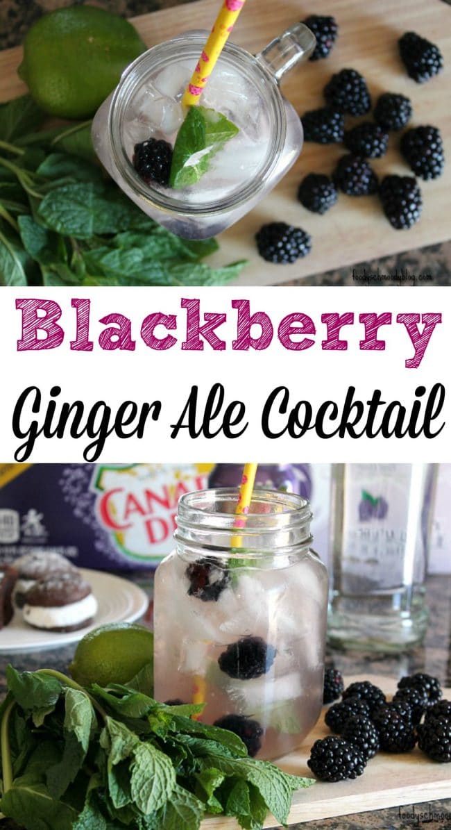 Blackberry Ginger Ale Cocktail - Foody Schmoody Blog