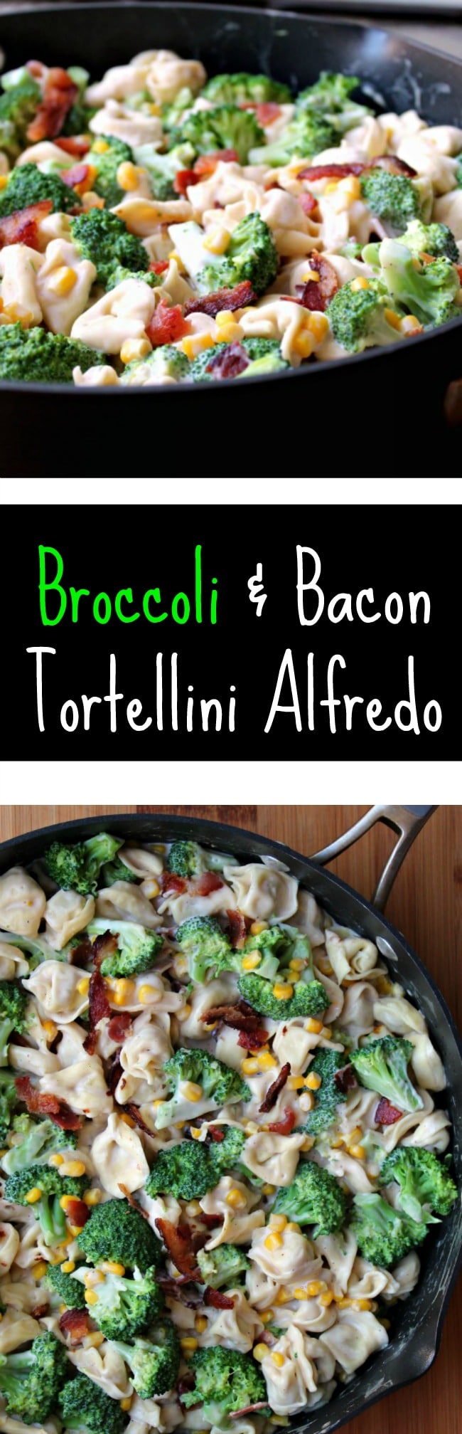broccoli bacon tortellini alfredo