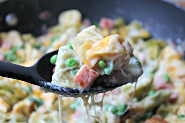 creamy tortellini with ham on serving spoon with cheese dripping down