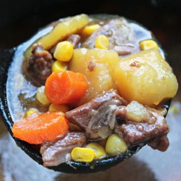 beef stew in ladle being served
