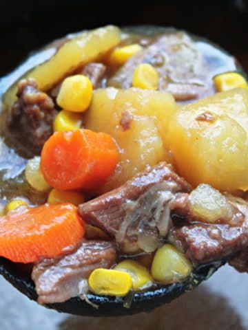 beef stew in ladle being served