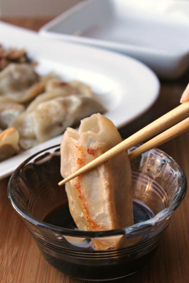 potsticker with dipping sauce