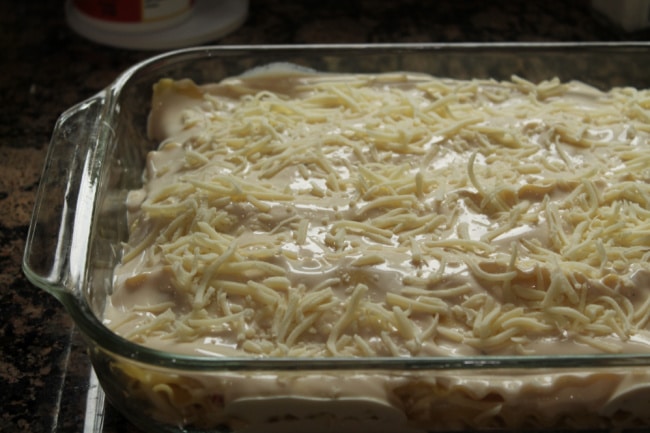 white lasagna for oven
