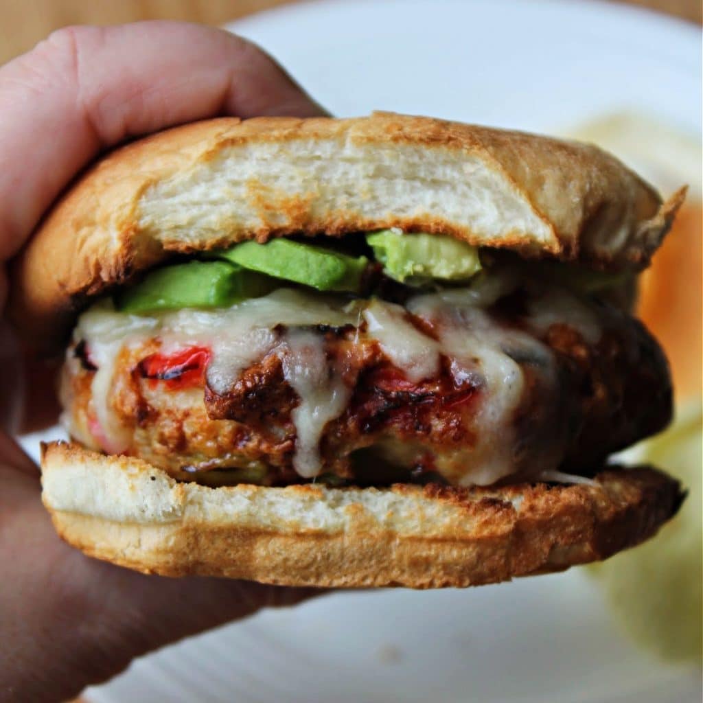 Best Chicken Burgers In The Air Fryer Foody Schmoody Blog