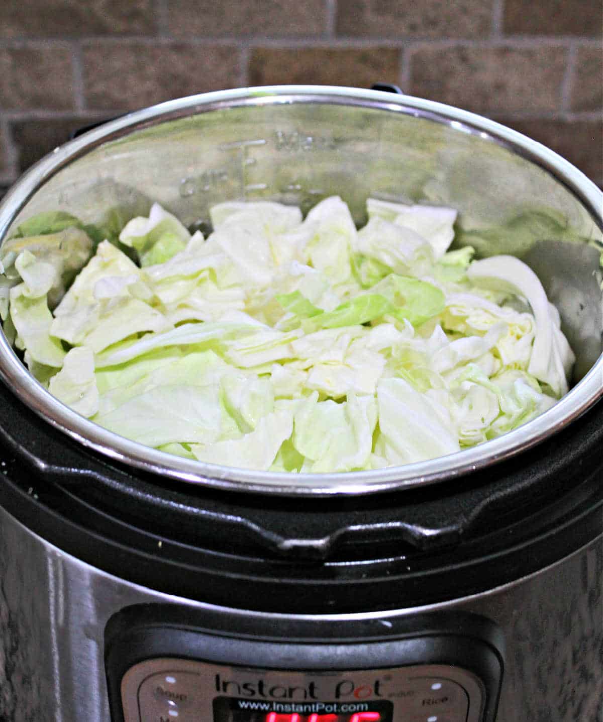 all ingredients in instant pot ready to cook. The cabbage is on top.