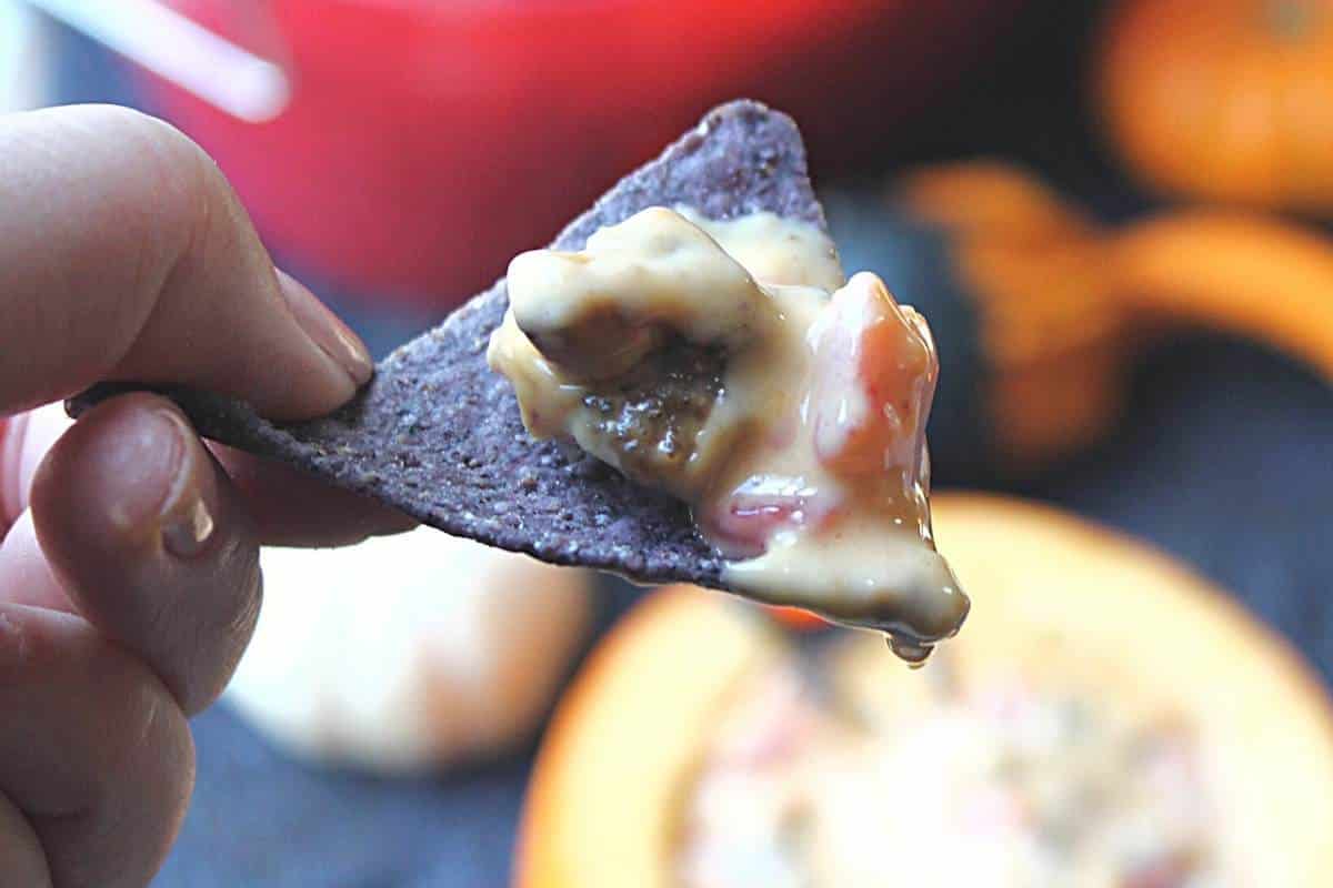 Close up of a blue tortilla chip that has been dipped in queso.