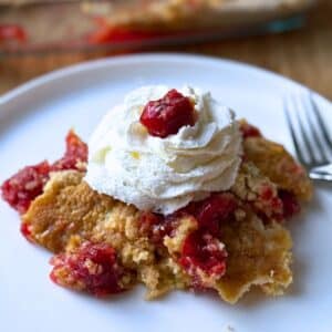 A serving of the completed recipe on a white dish. The dump cake is topped with a big swirl of whipped cream and topped with a cherry.